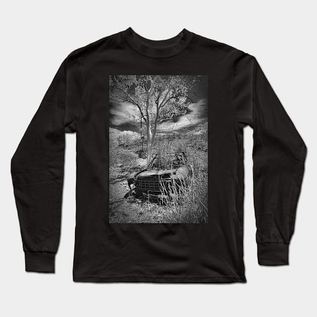 Bluebird in the bushes Long Sleeve T-Shirt by MattNQ